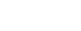 light logo